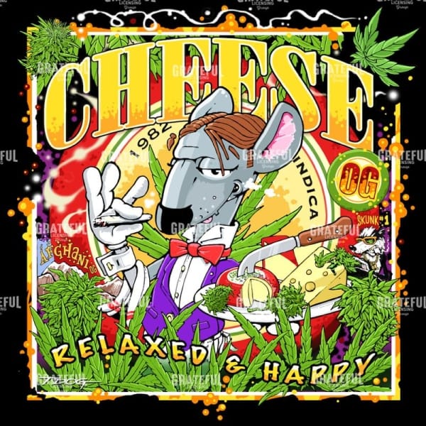 Cheese