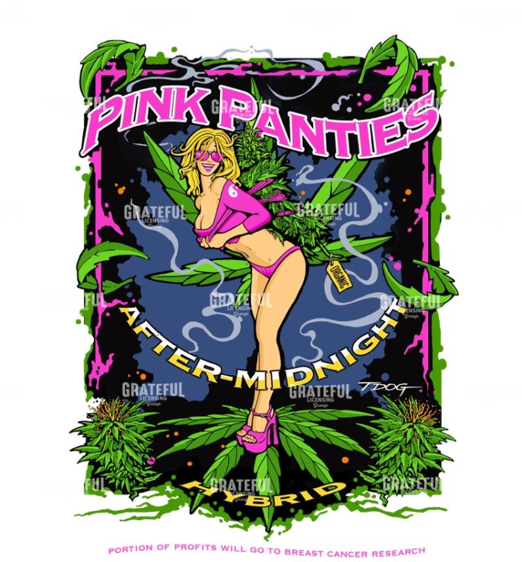 Pink Panties