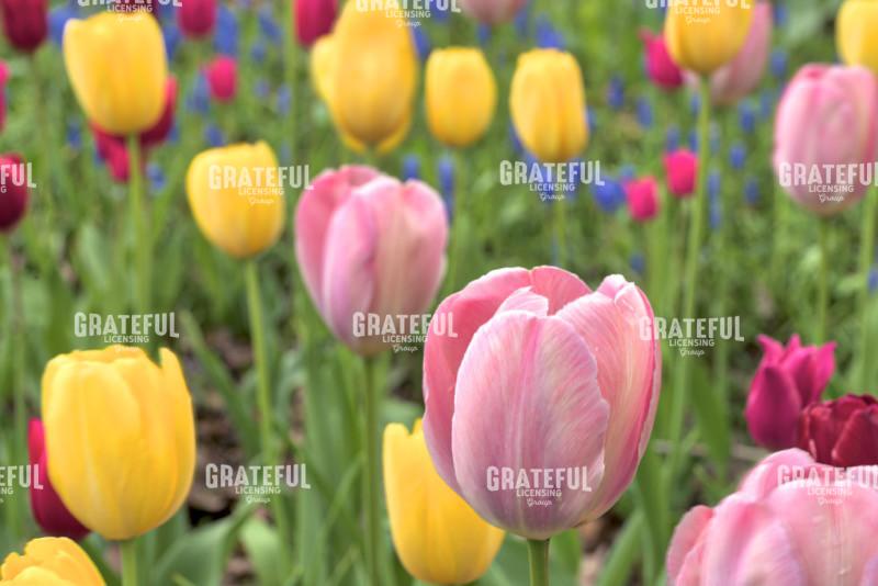 Hokkaido 2022_4246_AB.jpg