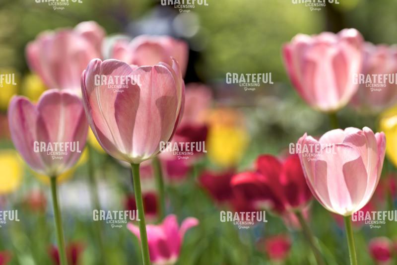 Hokkaido 2022_3241_AB