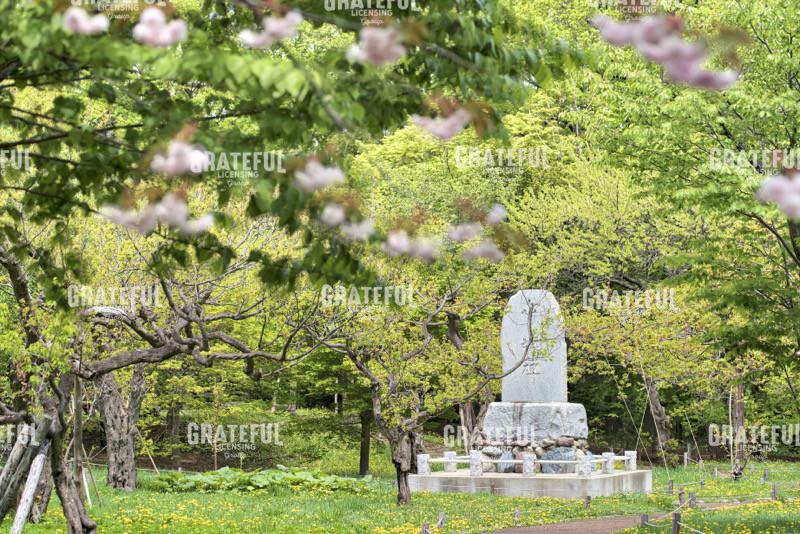 Hokkaido 2022_4326_AB