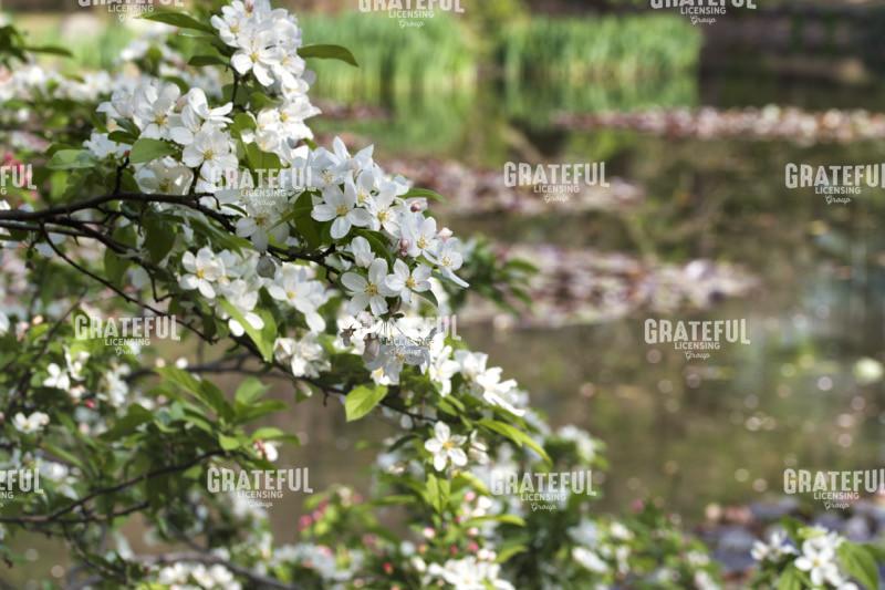 Hokkaido 2022_4021_AB