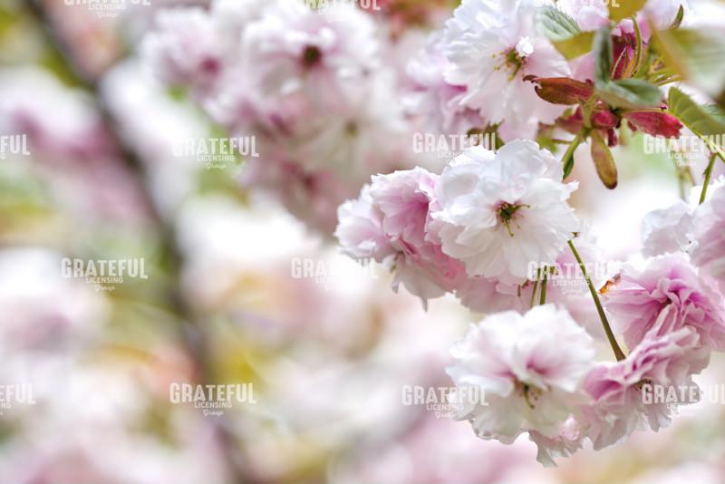 Hokkaido 2022_4369_AB