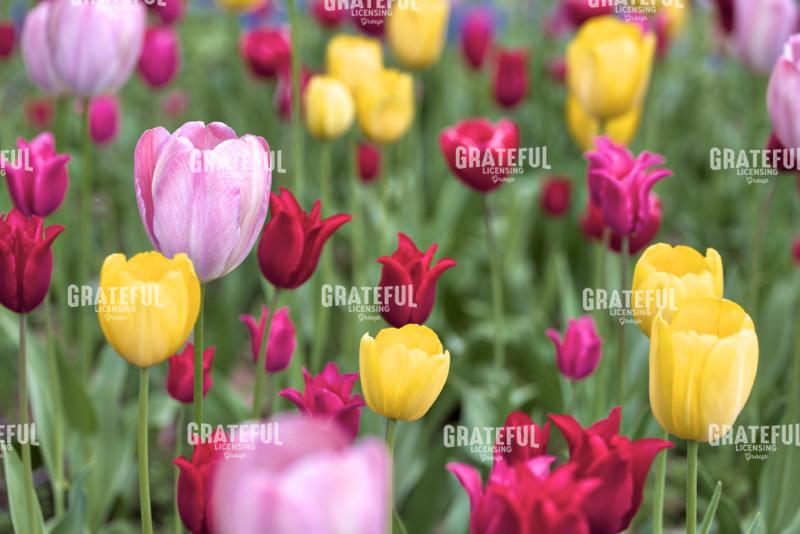 Hokkaido 2022_4468A_AB