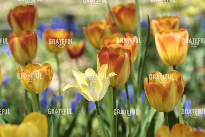 Hokkaido 2022_3103_AB