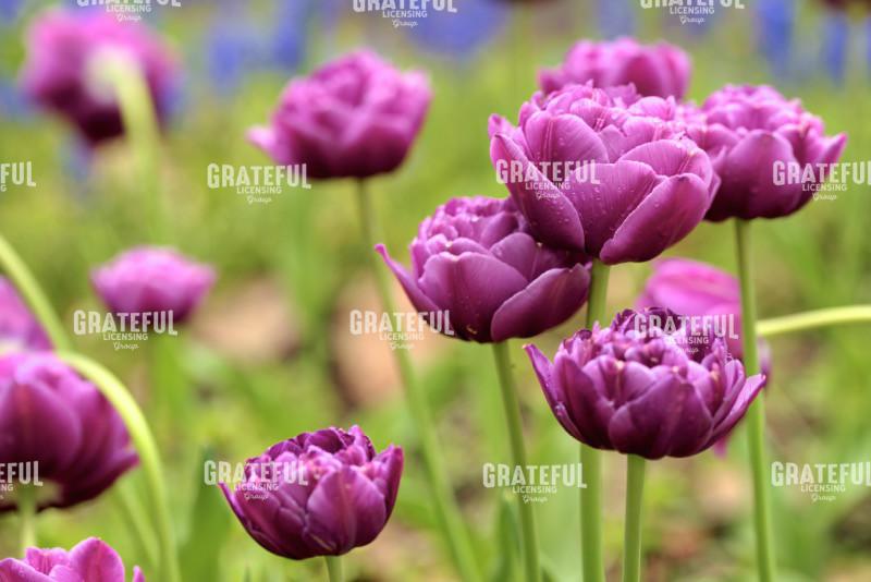 Hokkaido 2022_4164_AB