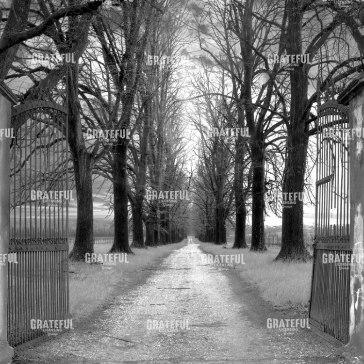 IT1806_Veneto Giardini #1A
