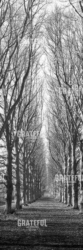 NYV6_Hampton Gates Promenade