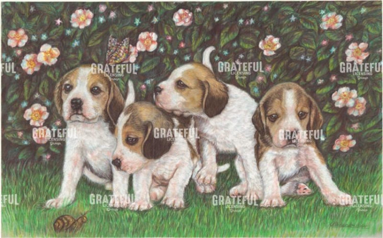Puppies and Roses
