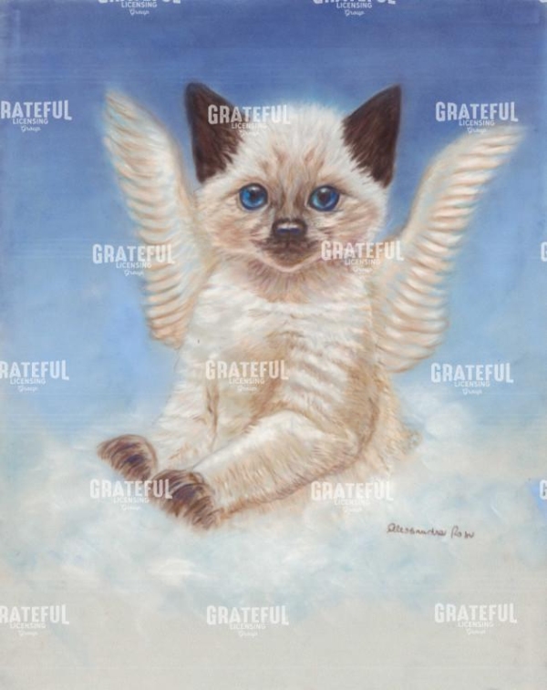Angel cat over the rainbow Bridge