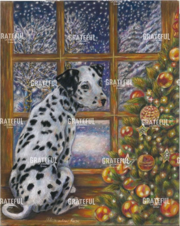 Dalmatian puppy on Christmas eve