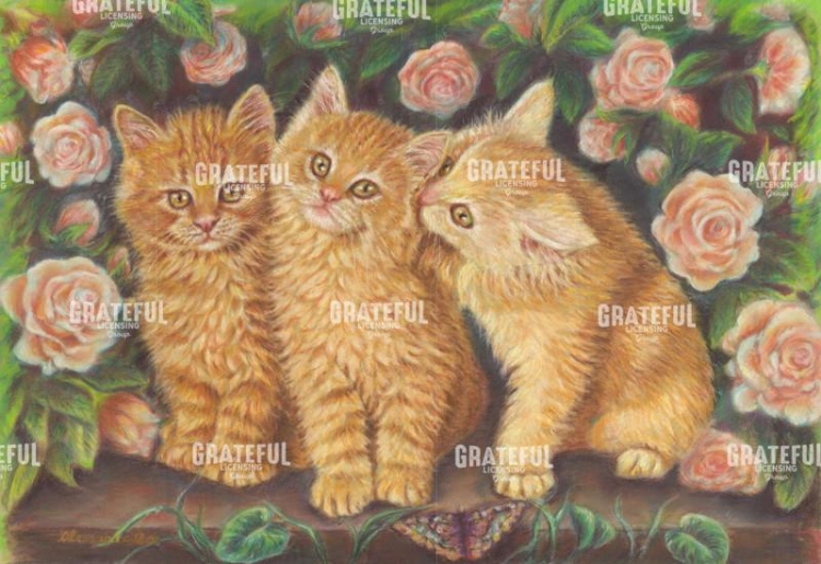 Cats and Roses