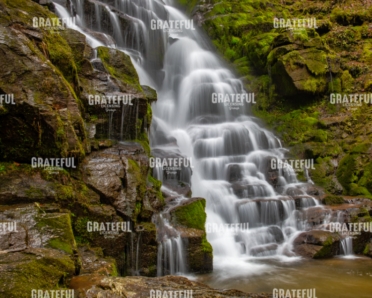 Mossy Falls