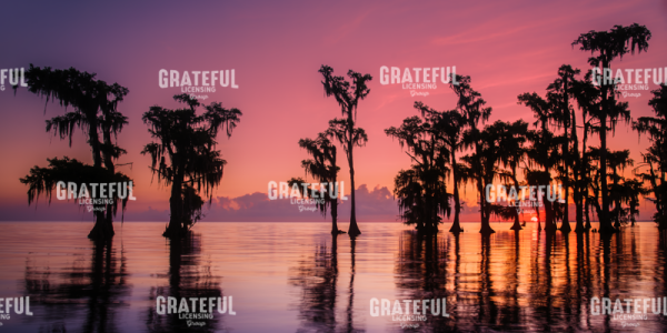 Louisiana Sunrise