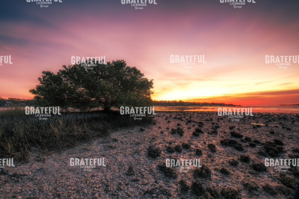 Cedar Key Sunrise