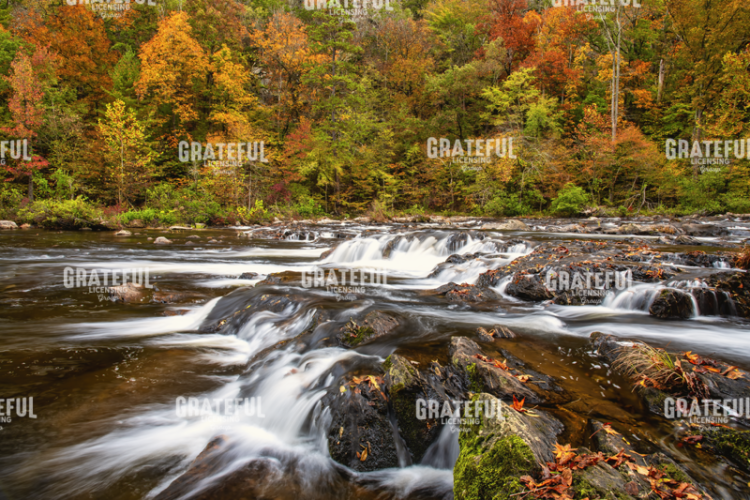 Autumn Falls