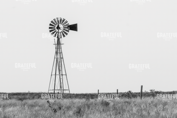 Colorado Windmill