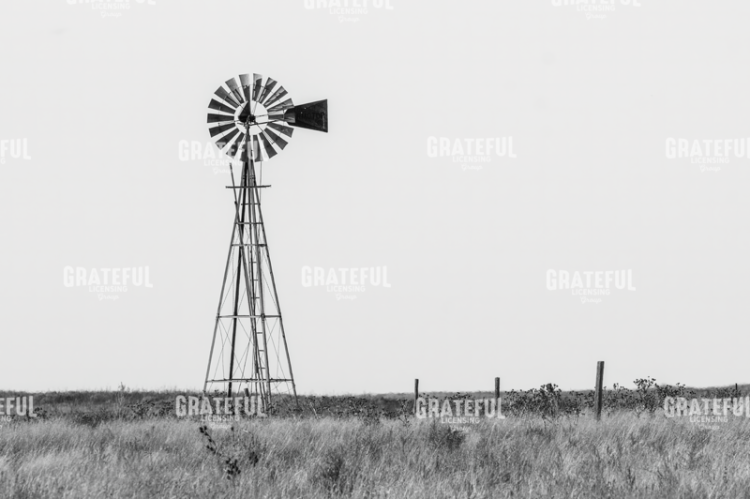 Colorado Windmill