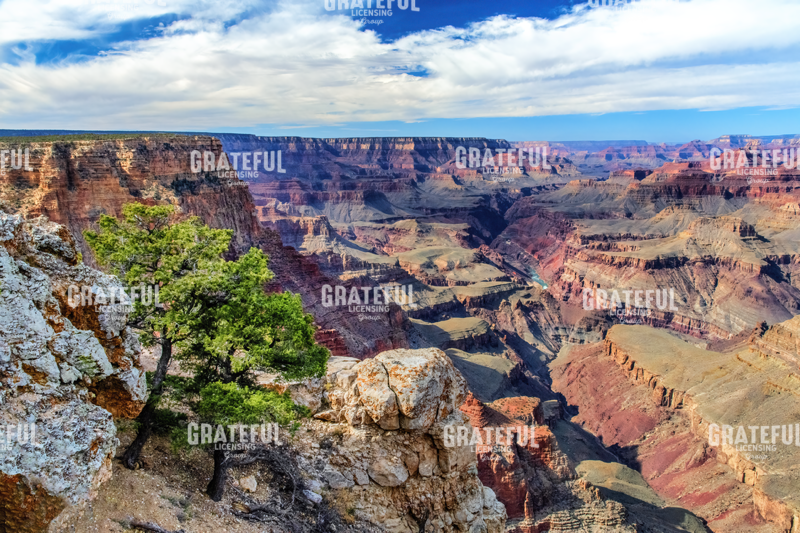 Standing on Navajo Point-Grand Canyon National Park