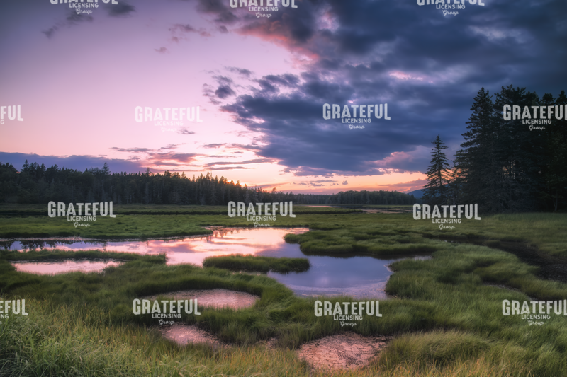 Sunset at Bass Harbor Marsh