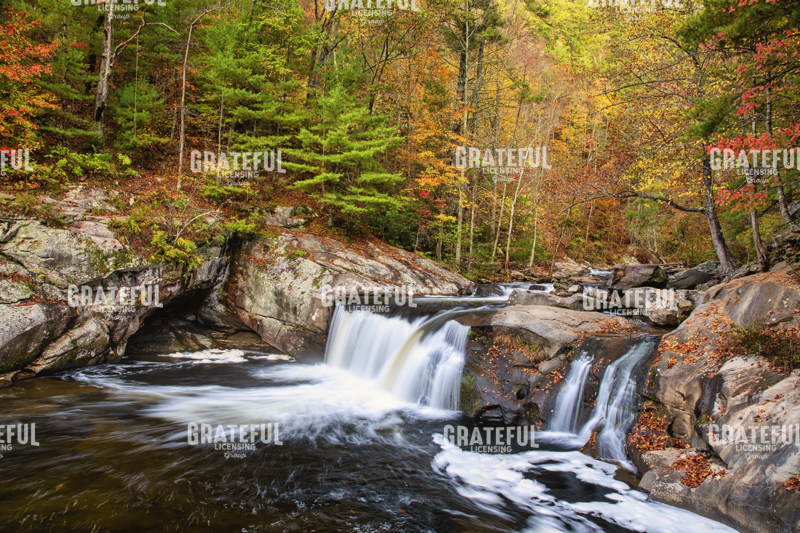 Baby Falls Tellico River