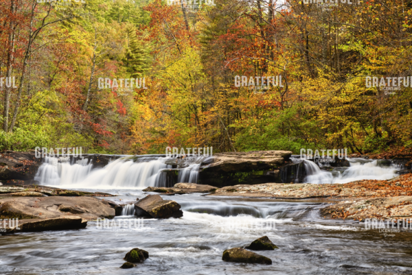 Cherokee Autumn 1