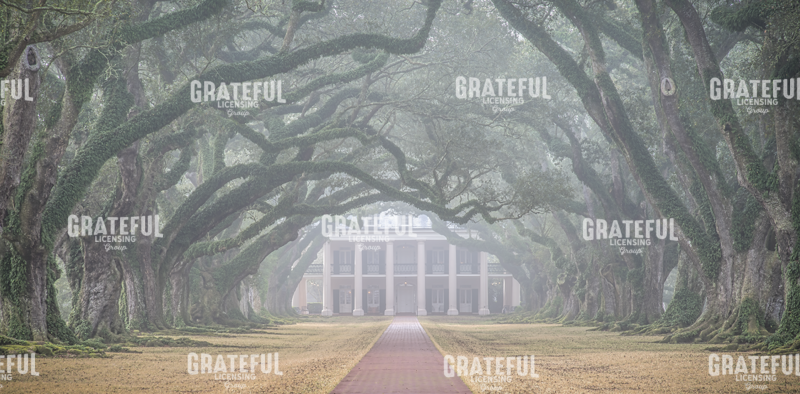 Oak Alley Plantation