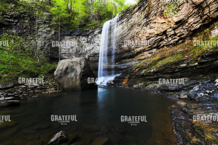 Spring at Hemlock Falls