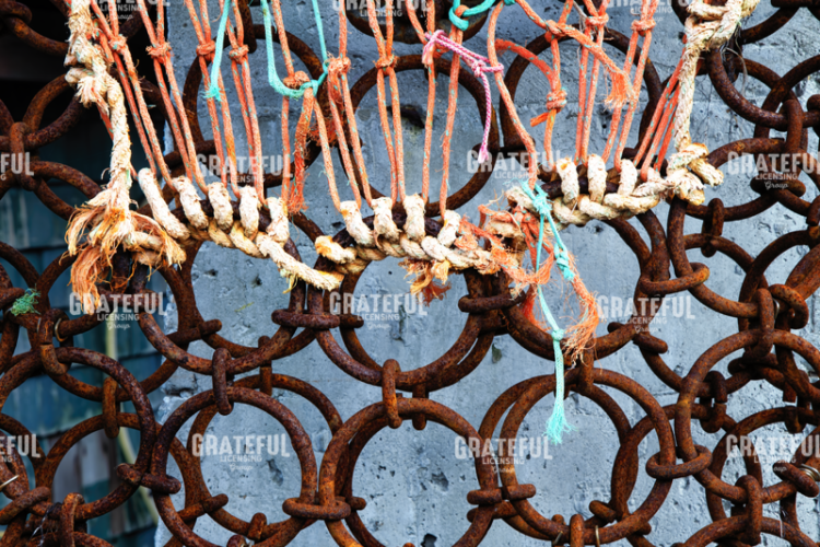 Maine Net Rings