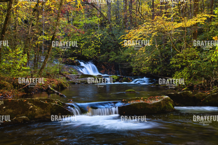 Serenity