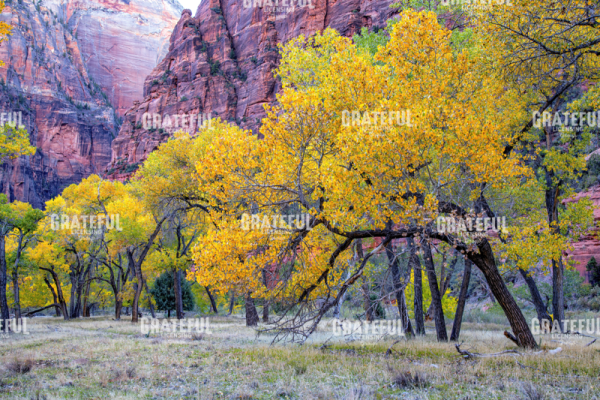 Autumn at the Grotto