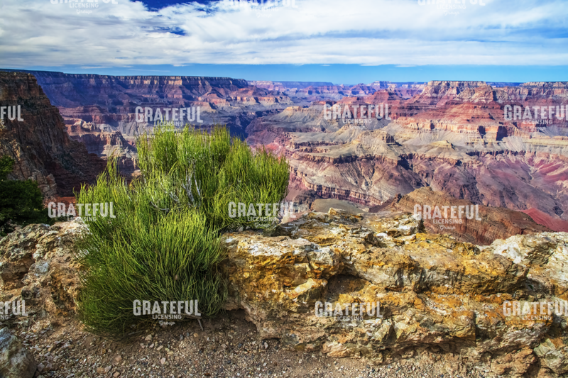 Grand Canyon Medicine