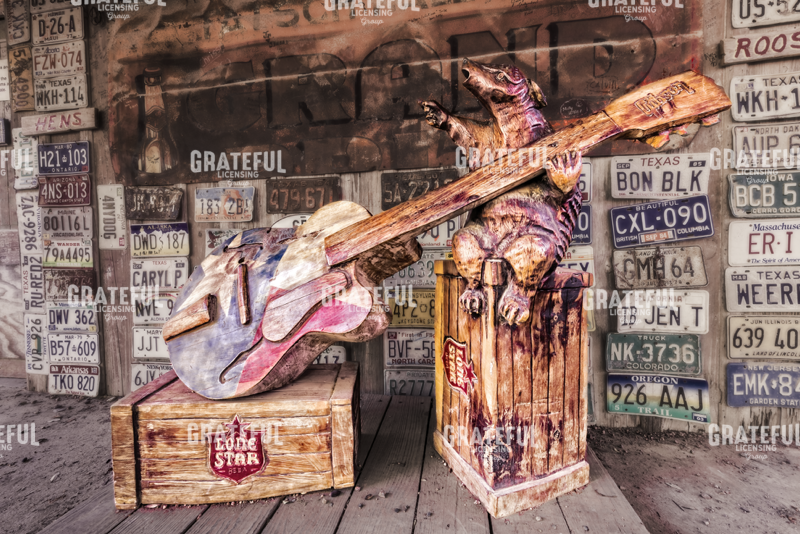 Luckenback's Guitar-playing Armadillo