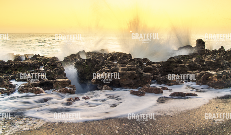 Morning at Coral Cove