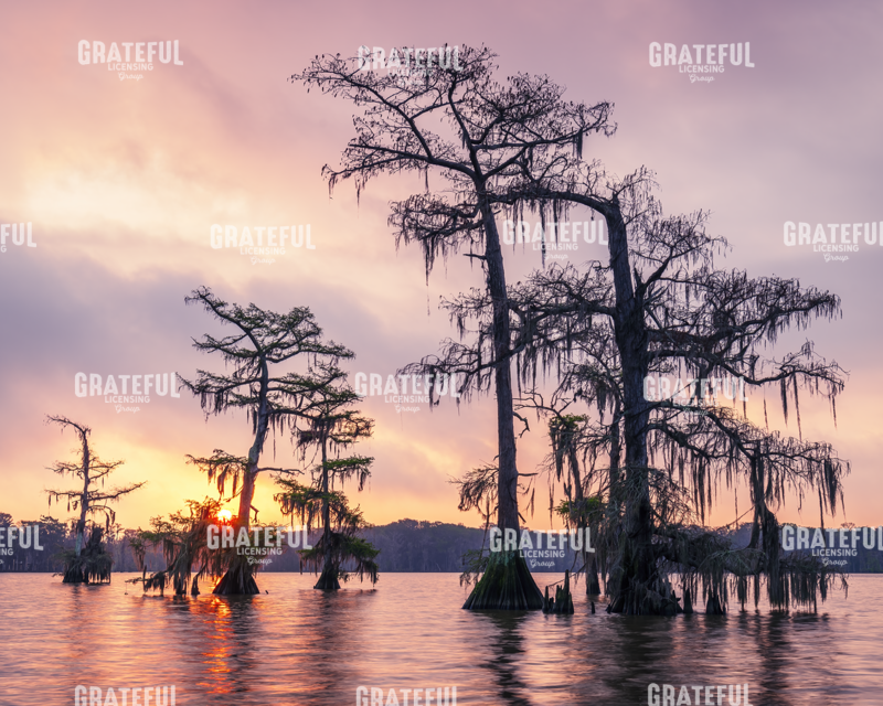 Sunrise Over Lake Palourde