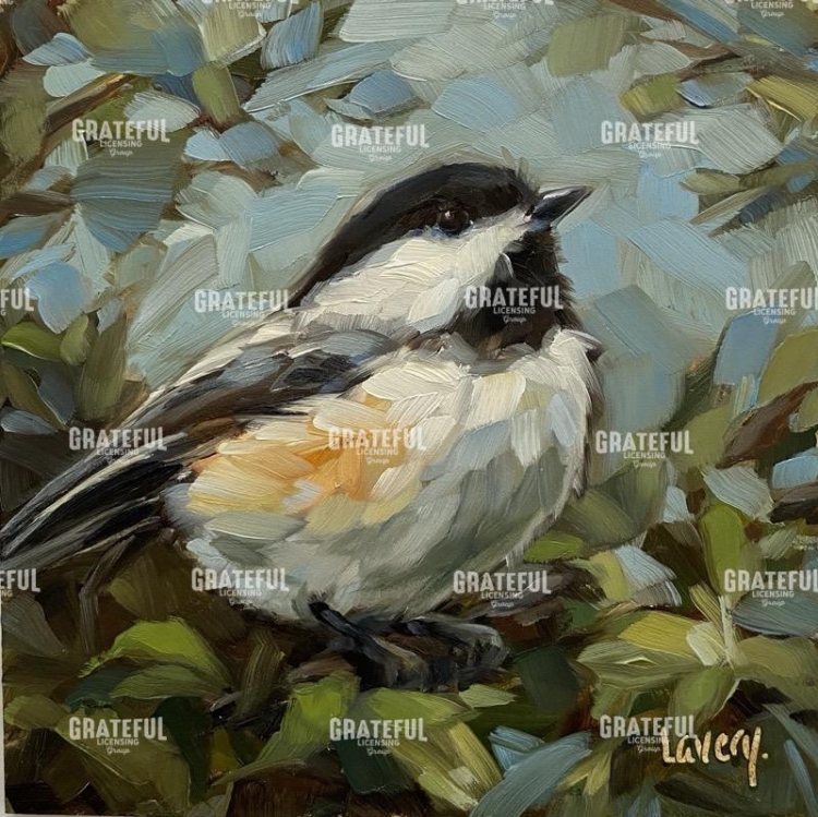 Chickadee in Bush