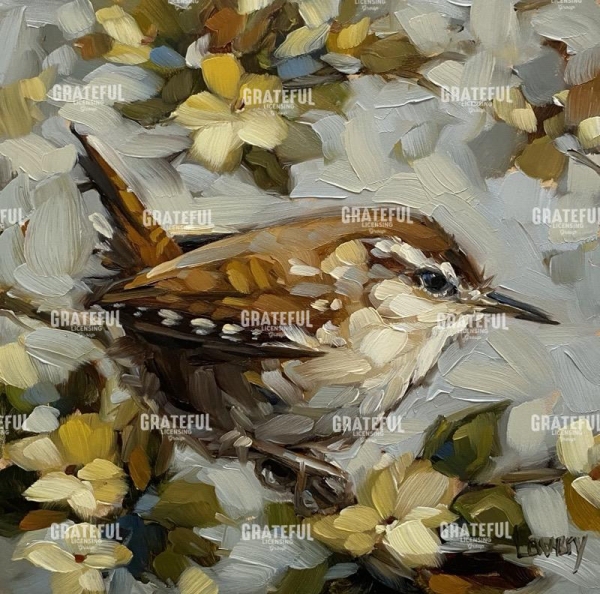 Carolina Wren