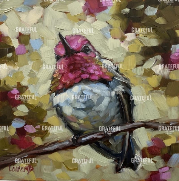 Anna's Hummingbird