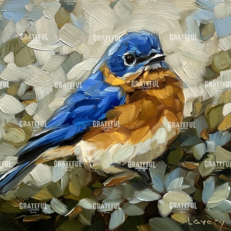 Bluebird: Looking for a Reason