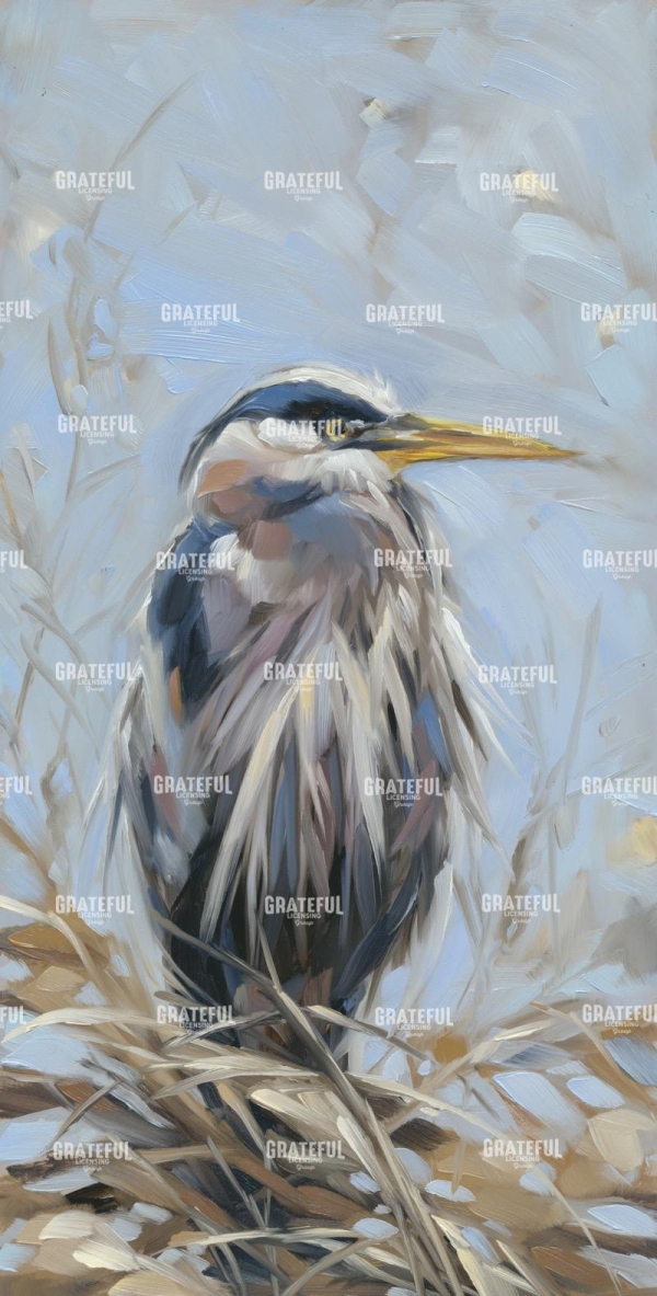 Light Blue Heron