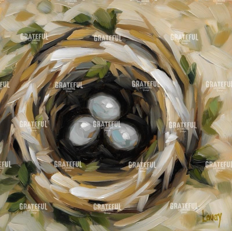 3 eggs in a nest