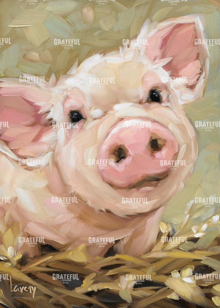 Orwell the Pig