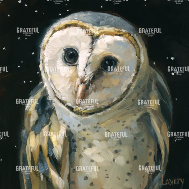 Night Owl