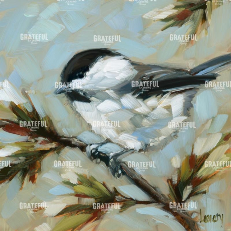 Chickadee on Pine
