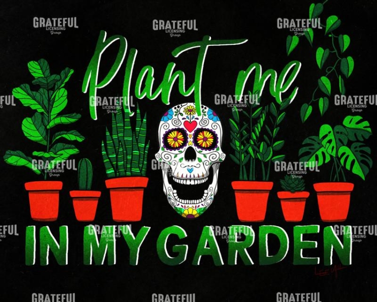 In My Garden