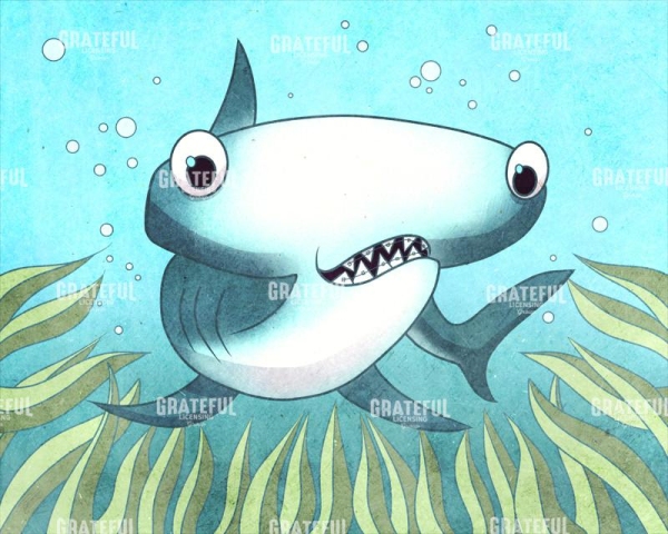 Hammerhead Shark