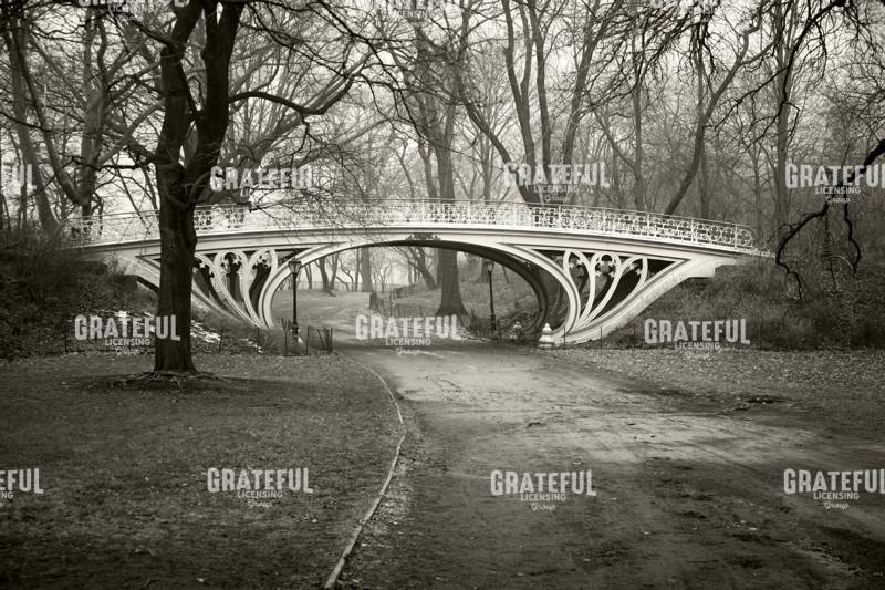 Gothic Bridge Central Park