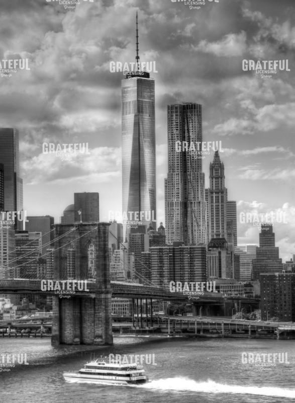 Skyline 2014