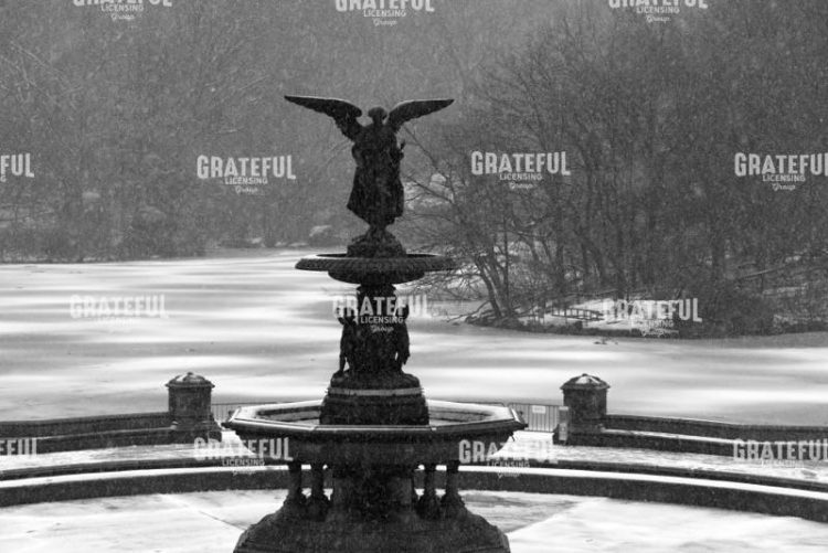 Central Park Statue in Winter