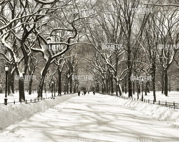 Poets Walk B+W